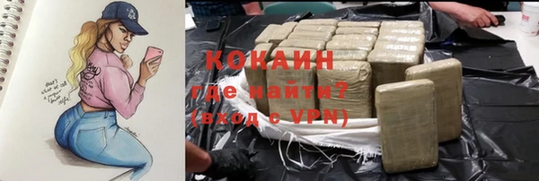 эйфоретик Богданович