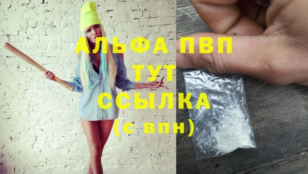 эйфоретик Богданович