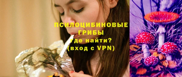 эйфоретик Богданович