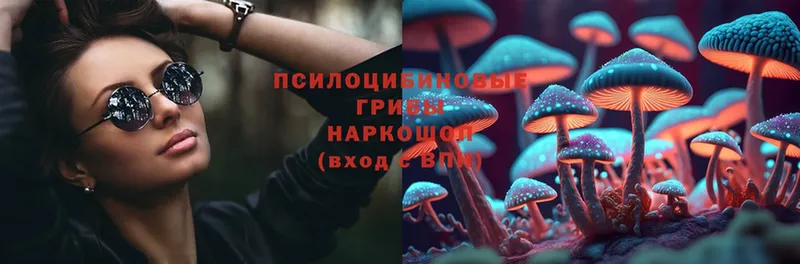 где найти   Бор  площадка клад  Псилоцибиновые грибы Magic Shrooms 