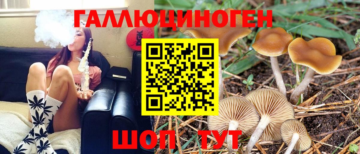 Псилоцибиновые грибы мицелий Бор