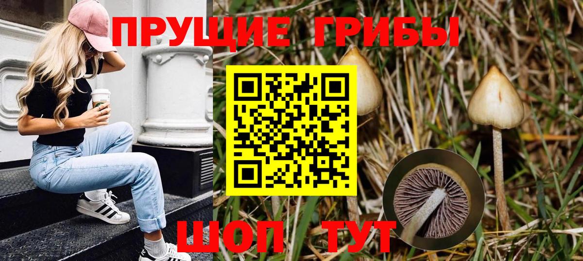 A PVP Бор