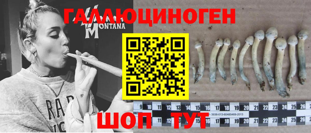 что такое   Вход с VPN  Бор  Галлюциногенные грибы Psilocybine cubensis 