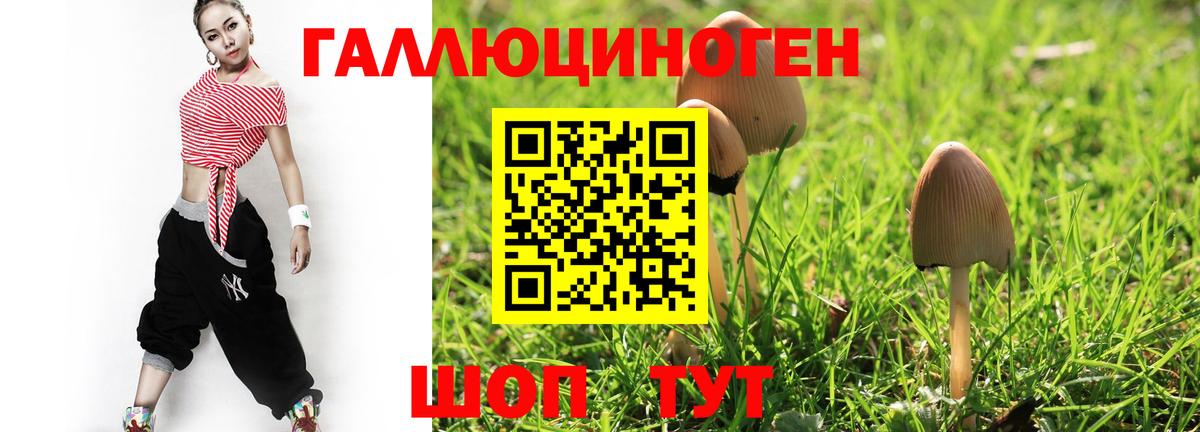 Псилоцибиновые грибы Cubensis Бор