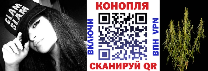 Бошки Шишки Amnesia  где можно купить   Бор 